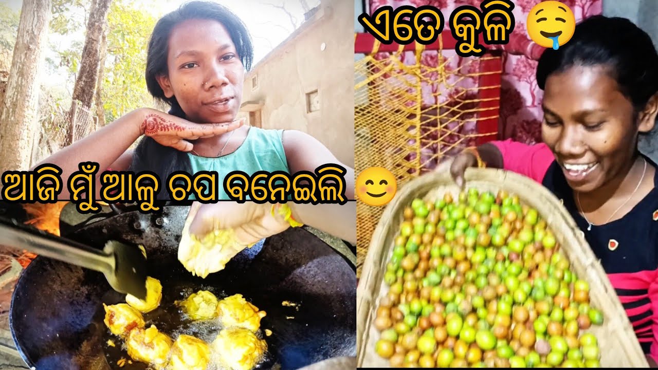 ଏତେ କୁଳି କୋଉଠି ପାଇଲୁ? 🤤 ଆଳୁଚପ କେମିତି ହେଲା 😊45 /365 @SantaliJhioSeemaVlogs 