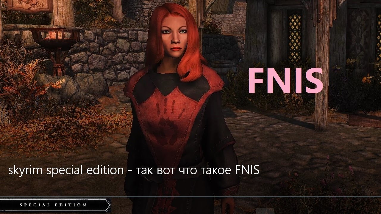 skyrim special edition - так вот что такое FNIS