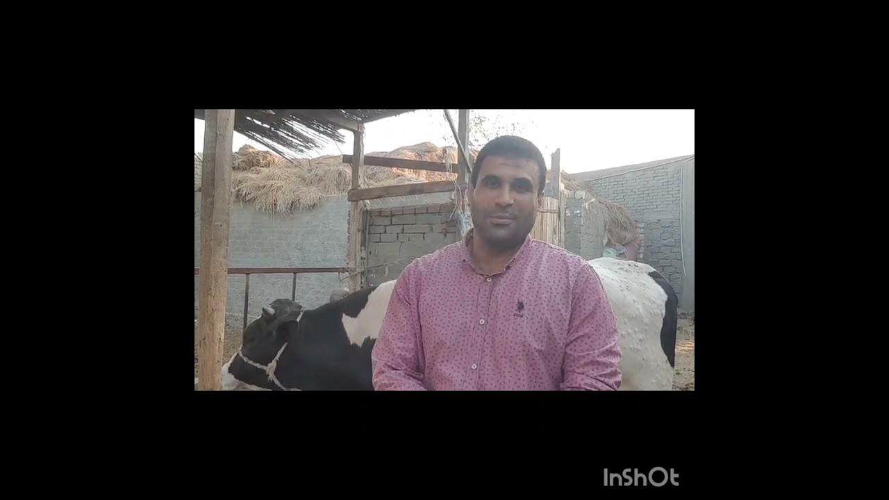كيفيه التعامل مع مرض الجلد العقدي