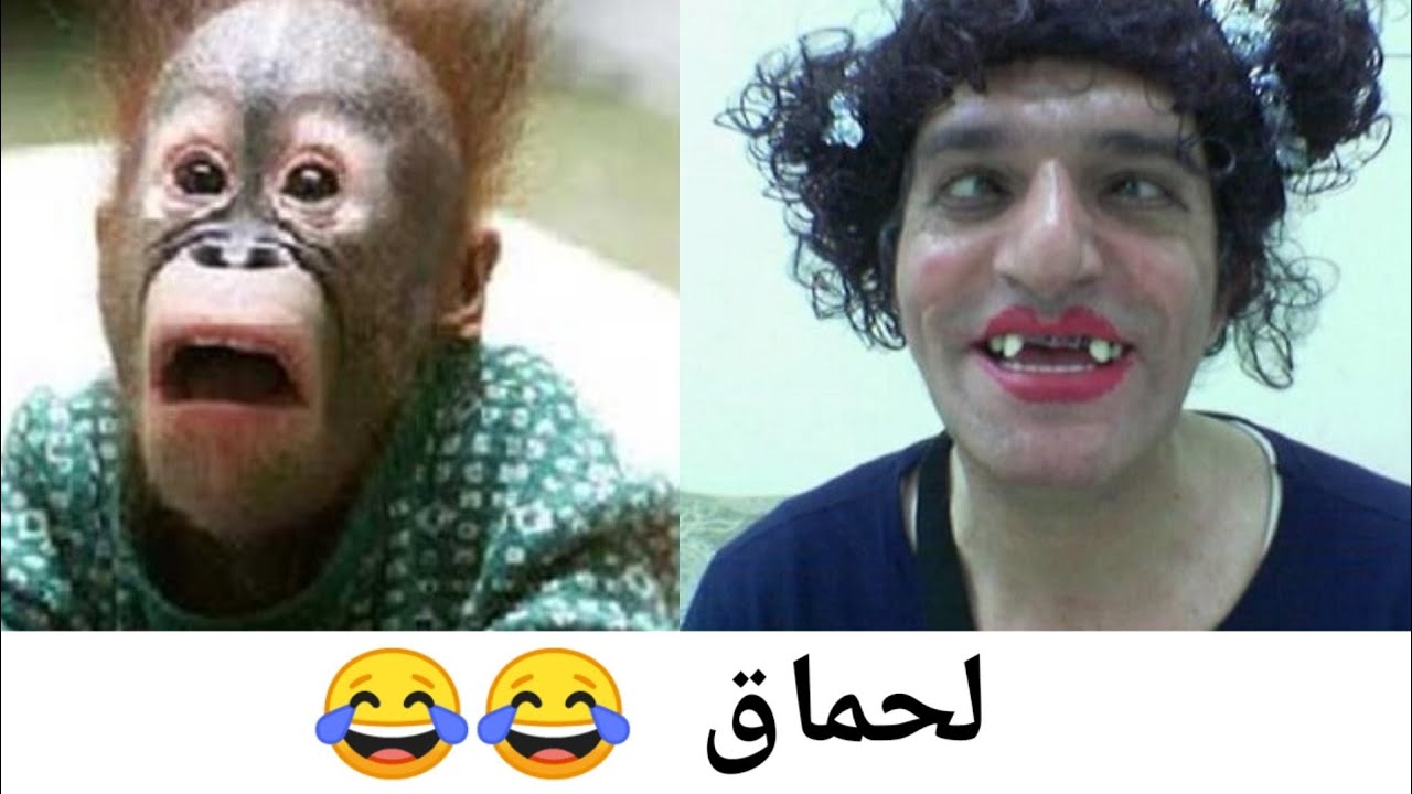 hhhh 2020 لموت ديال الضحك لهربا