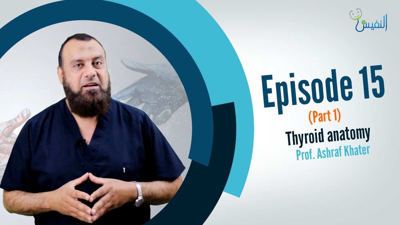 Thyroid anatomy (1) - Surgery