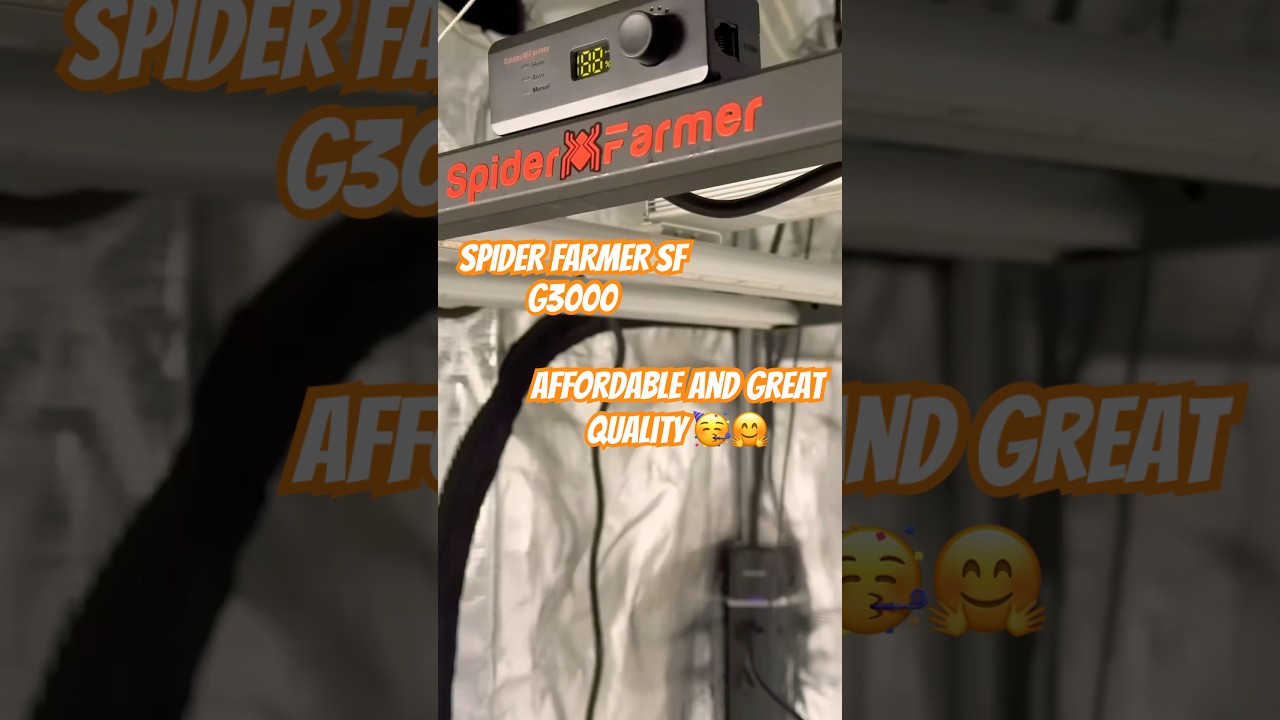 SPIDER FARMER SF G3000 @SpiderFarmer #fyp #indoorgarden #indoorgardening #viralvideo