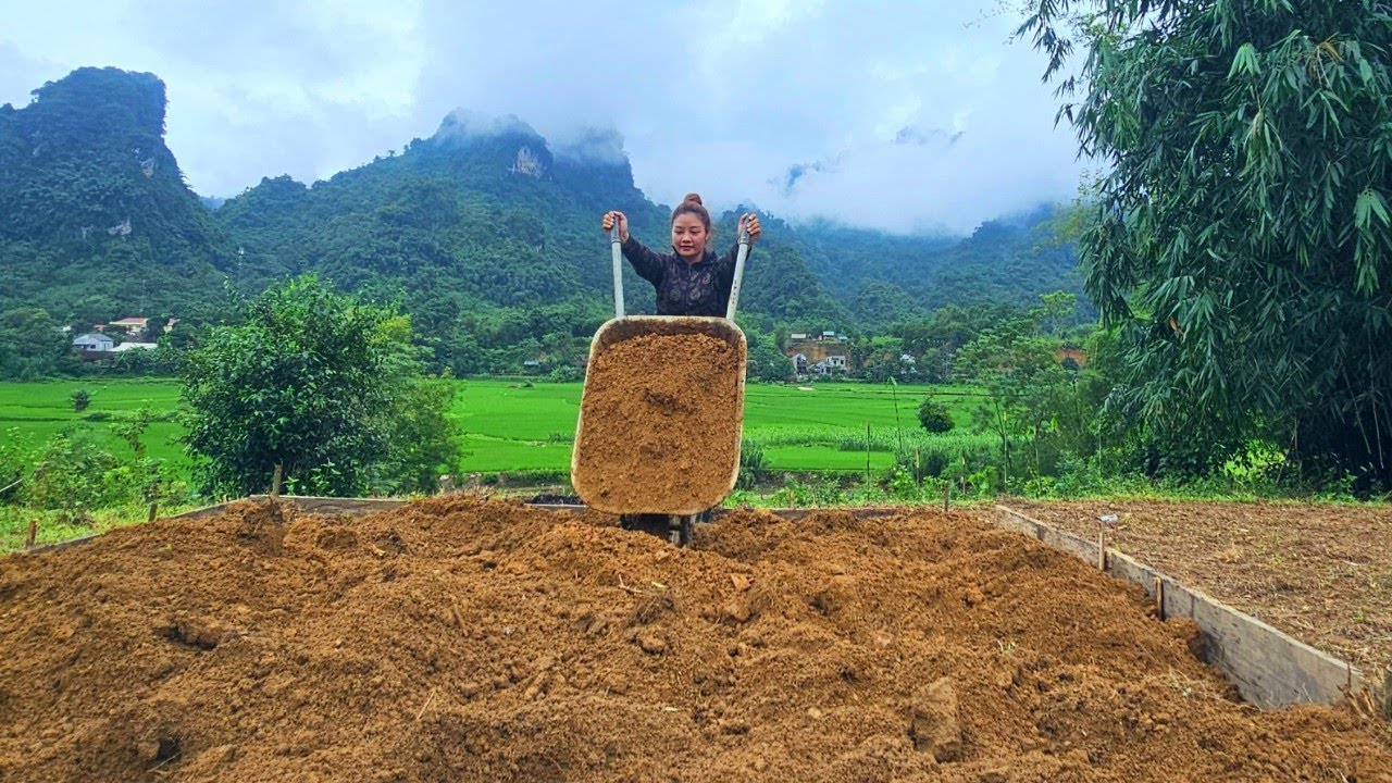 Day 3 in the safe zone : Complete floor elevation - Cook purple sticky rice to sell