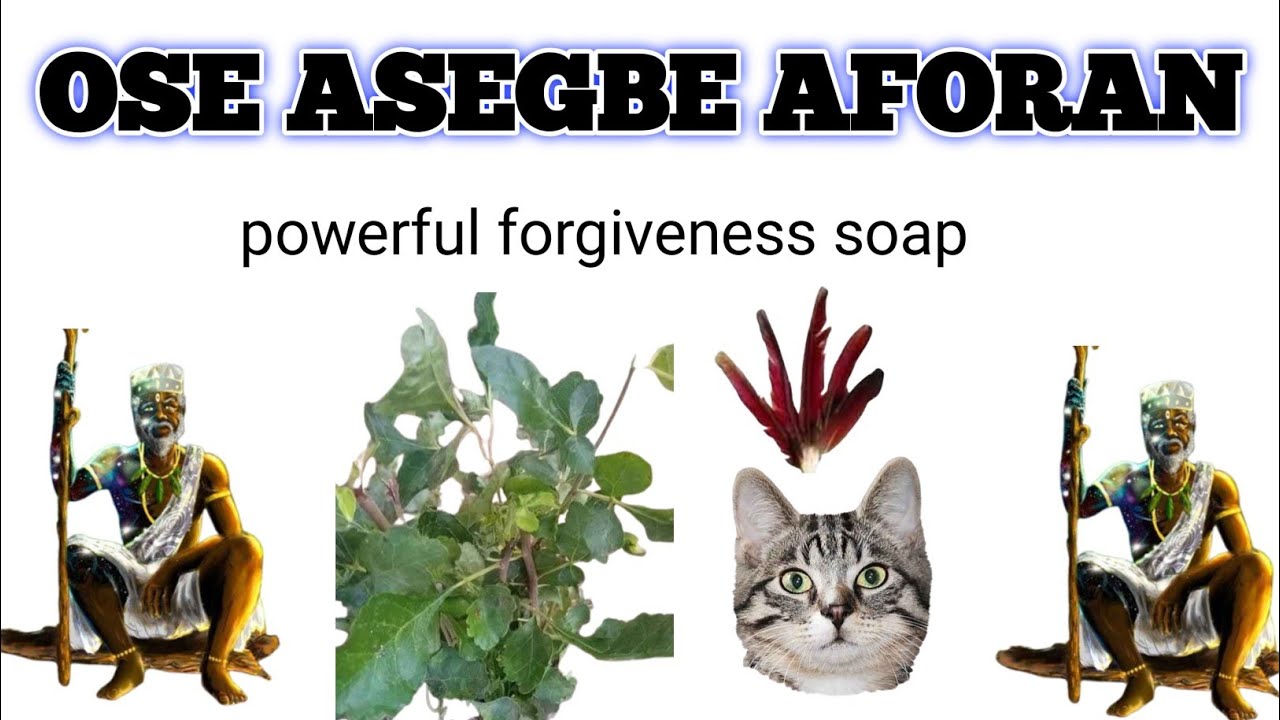 OSE ASEGBE AFORAN @Dromoodoagbatv