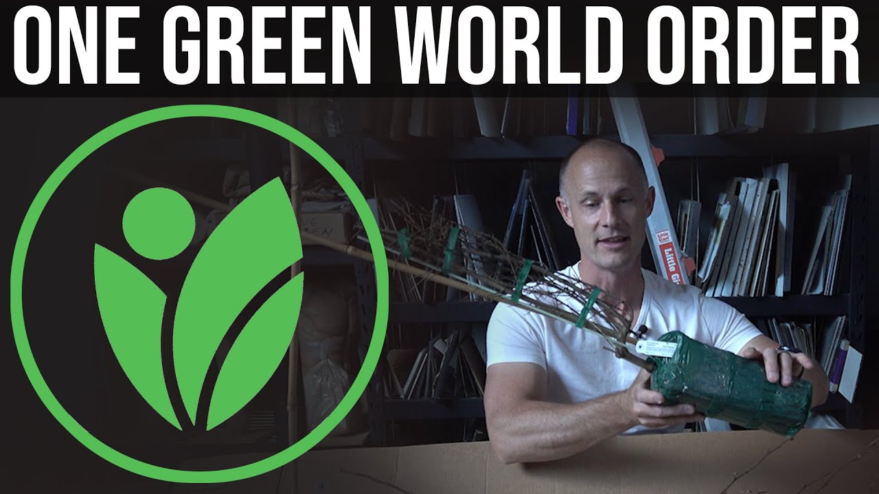 Обзор распаковки от One Green World: хурма сорта Raven, нектар сливы Spice Zee, априумы и азотфик...