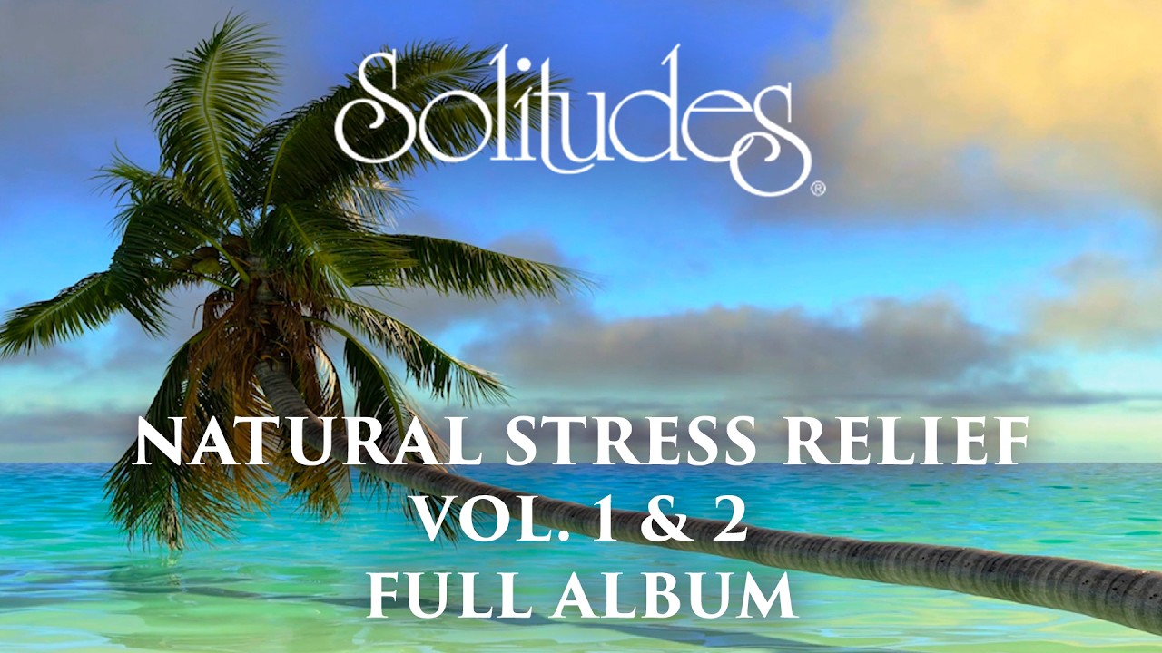 2 hours of Stress Relief Music: Dan Gibson’s Solitudes - Natural Stress Relief Vol. 1 & 2