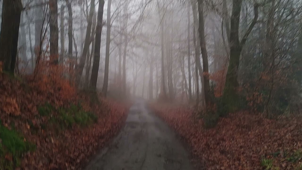 walking with empty thoughts