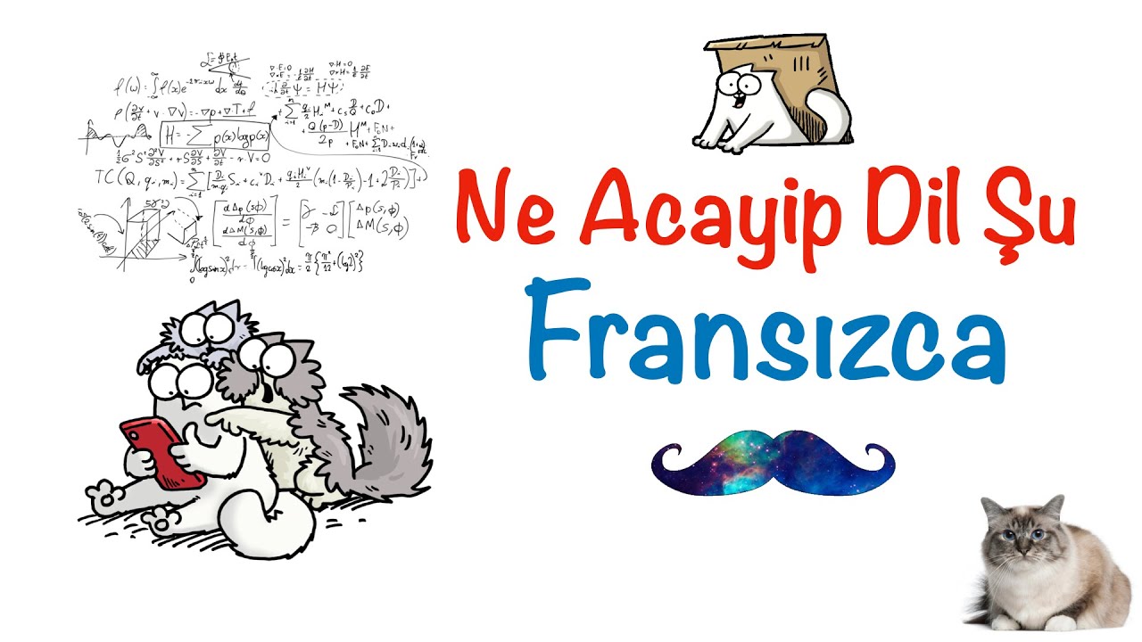 Ne Acayip Dil Şu Fransızca!