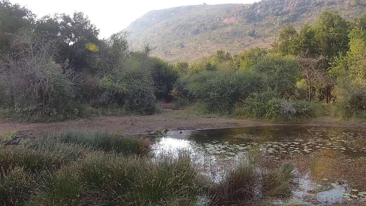 Africam - Kwa Maritane