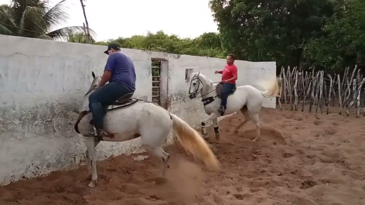 Colocando Athos em ordem, passadinha 