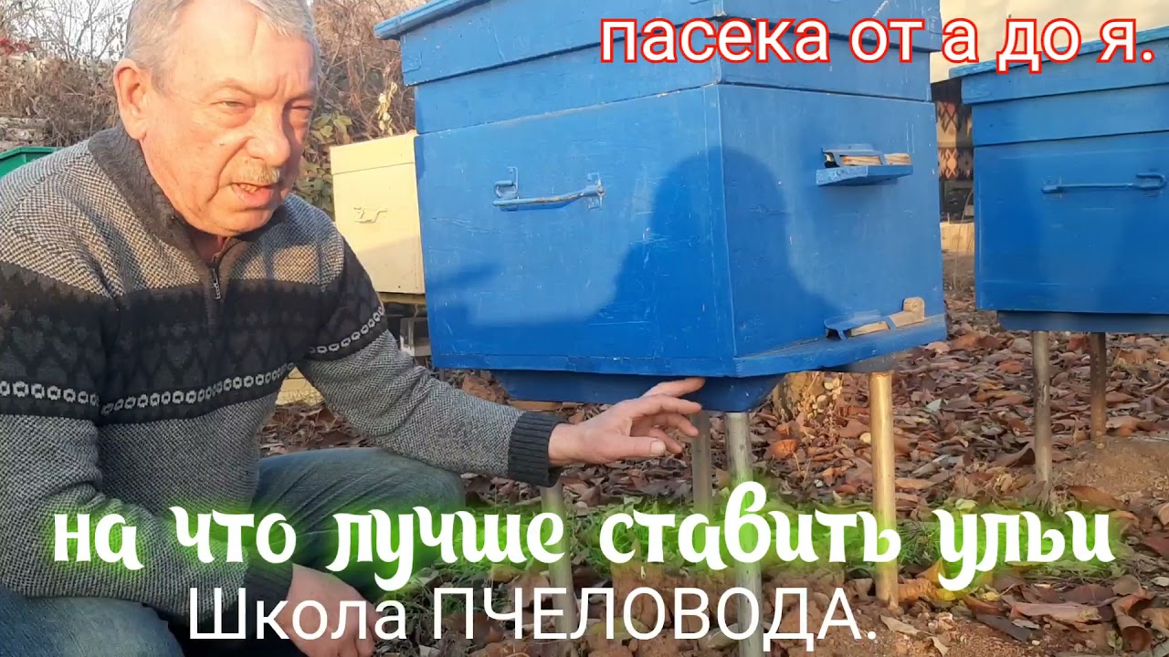ПАСЕКА.ПЧЕЛОВОДСТВО. НА ЧТО ЛУЧШЕ СТАВИТЬ УЛЬИ.