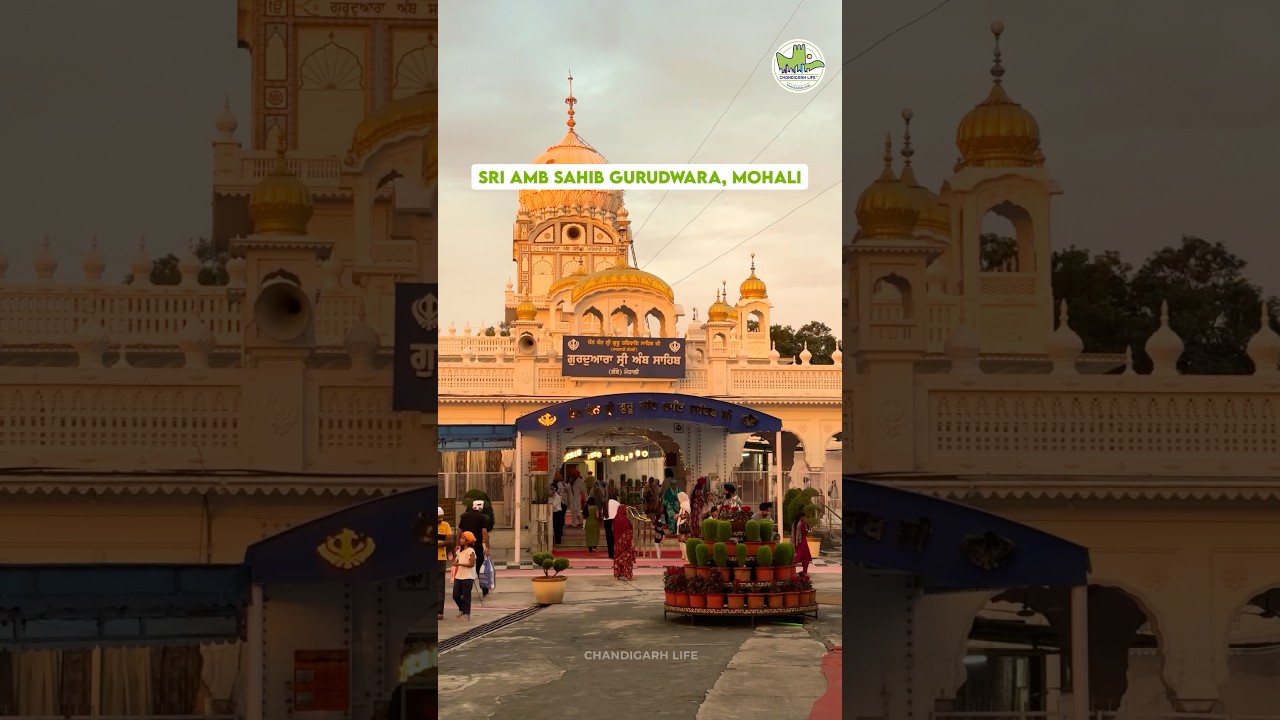 ✨ Gurudwara Sri Amb Sahib, Mohali ✨