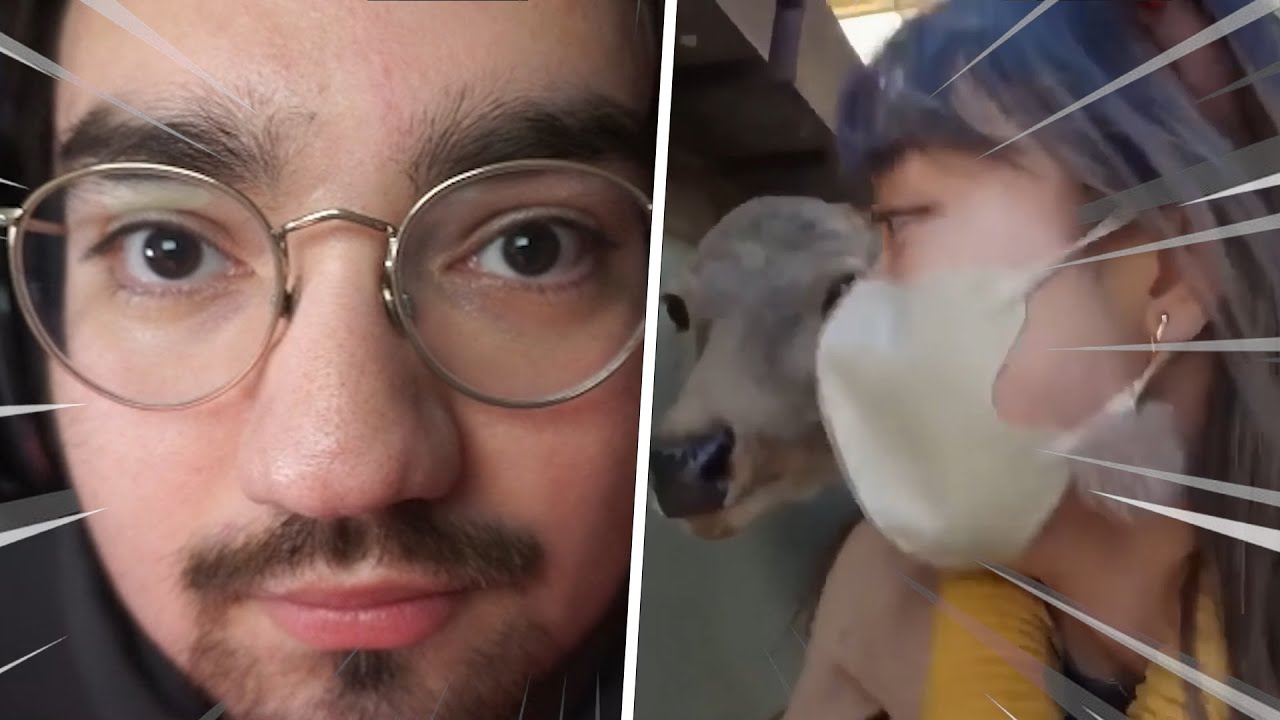 Bigpuffer Reacts to The BEST of Daily Dose Memes