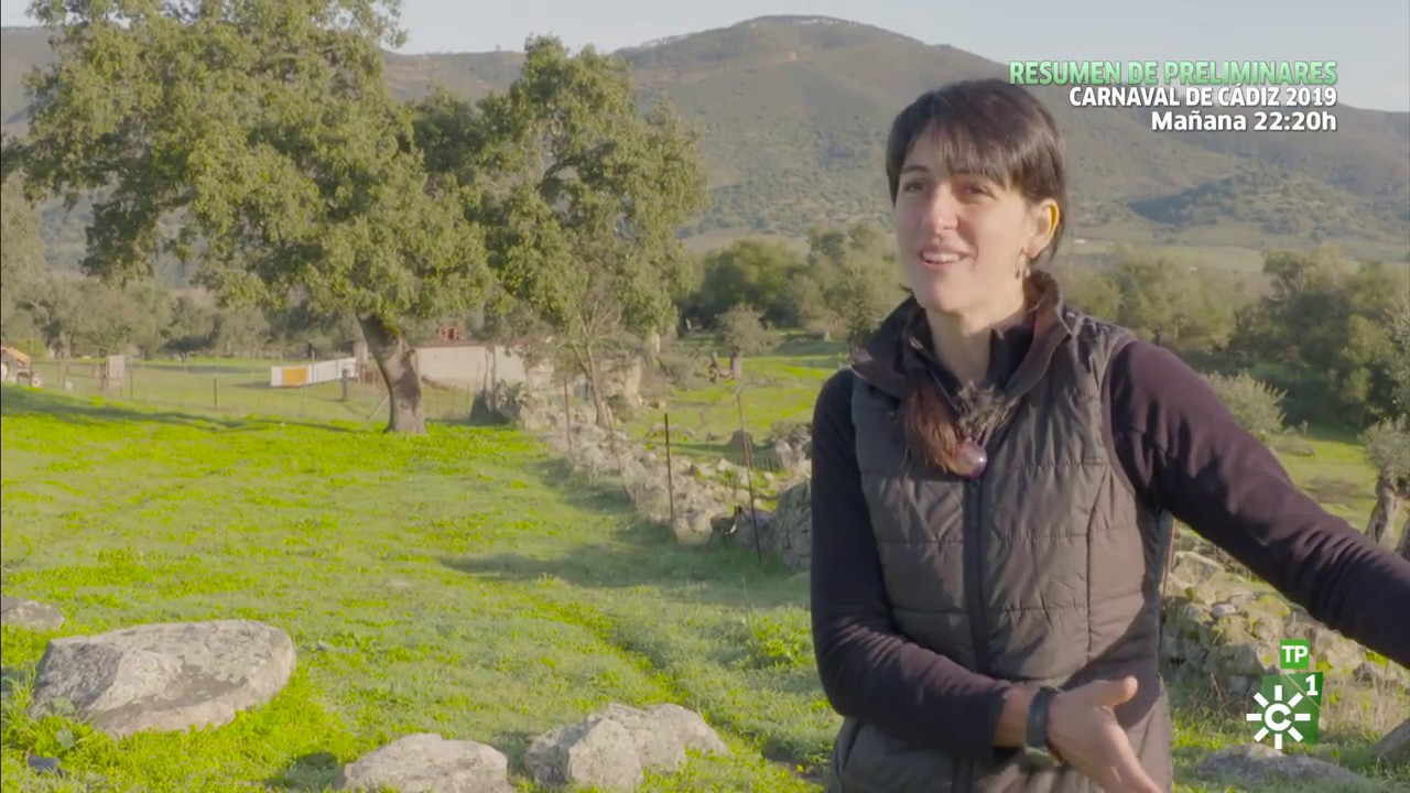 Campechanos | El cambio de vida del campo a la ciudad