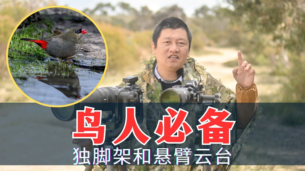 【詹姆斯】鸟人必备装备：独脚架和悬臂云台（松塔Pro+ 温布利WH-200 MH-100）