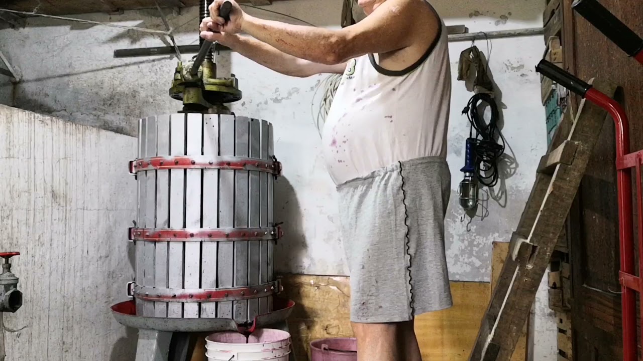 🍇Ecco la svinatura e spremitura dell'uva vendemmia del 2021🍇