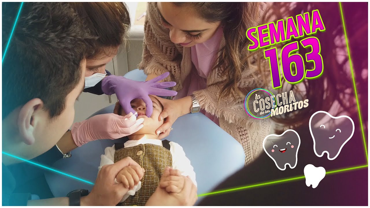 SEMANA 163 / LUCIANA VISITA AL DENTISTA POR PRIMERA VEZ