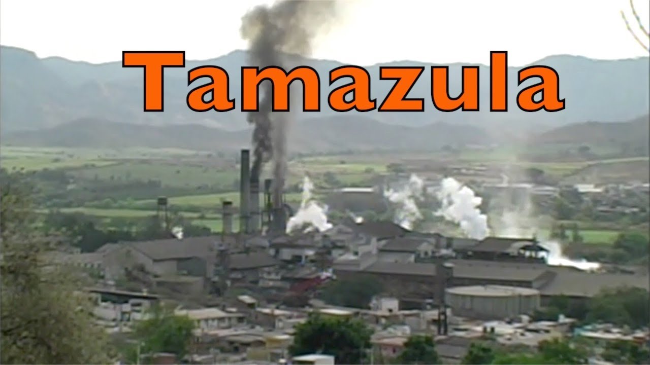 Tamazula Jal. 2005 Videos de México