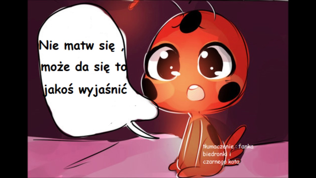Komiks miraculum fanka biedronki i czarnego kota