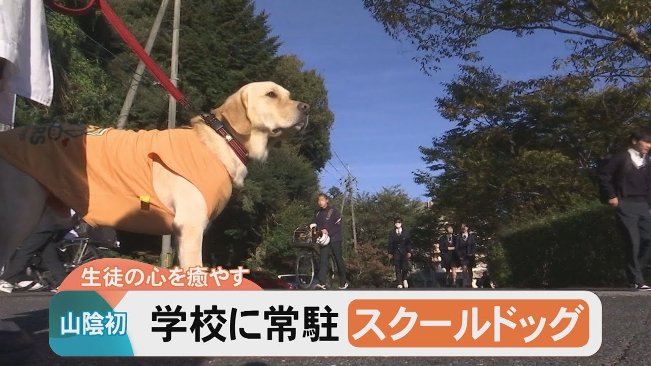 山陰初＂常駐＂する「スクールドッグ」が着任！生徒たちの心を癒やす