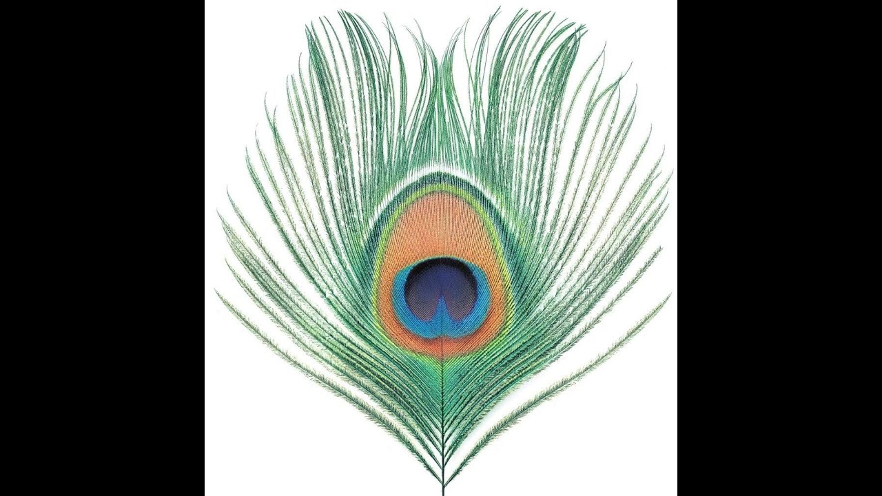 XTC - The Last Balloon