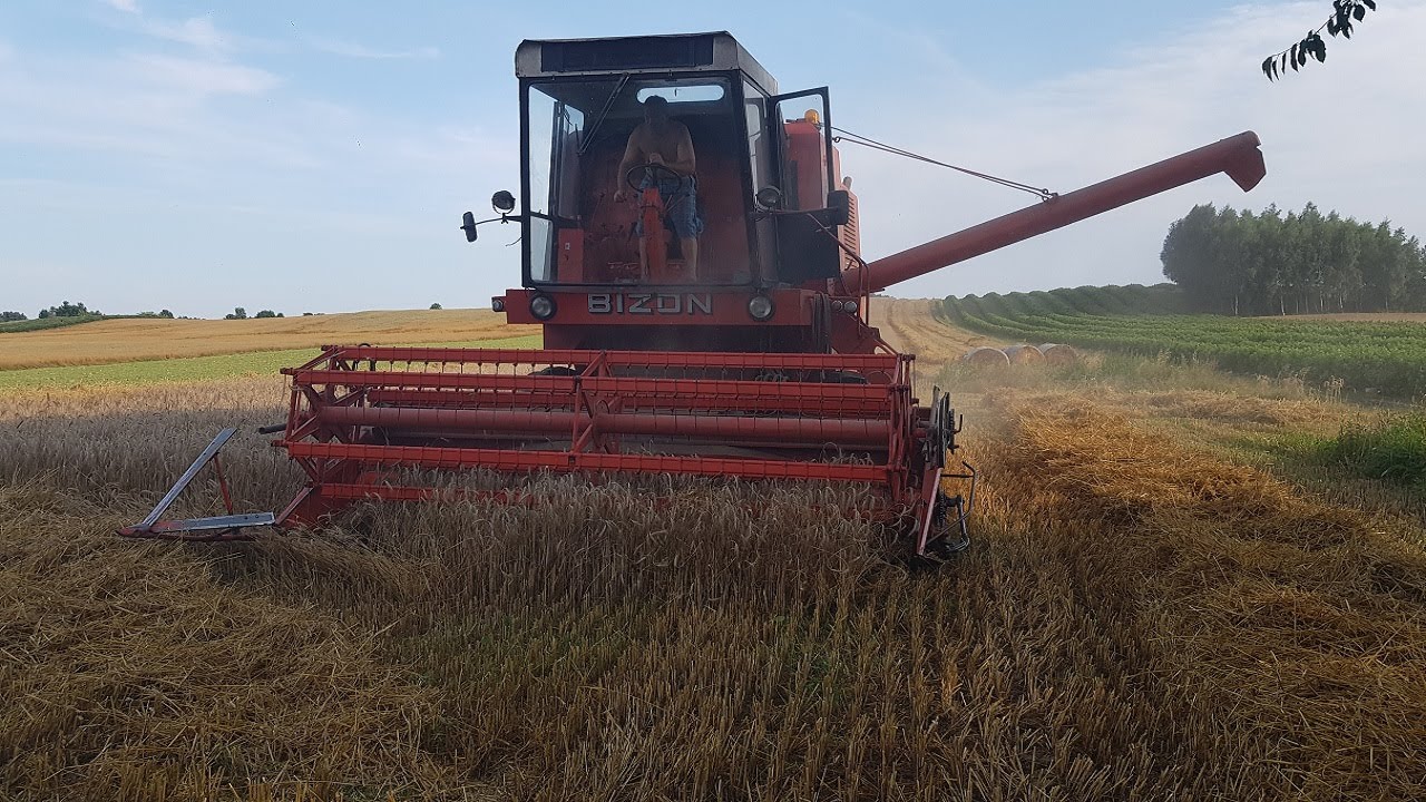 🔥 Żniwa 2021 🔥 ☆ Koszenie pszenżyta ☆ Bizon 5056 SUPER wersja eksportowa