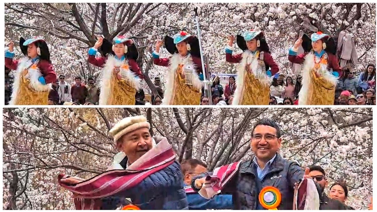 Apricot blossom 🌸 Festival at Skurbuchan – a celebration of culture and spring #ladakh