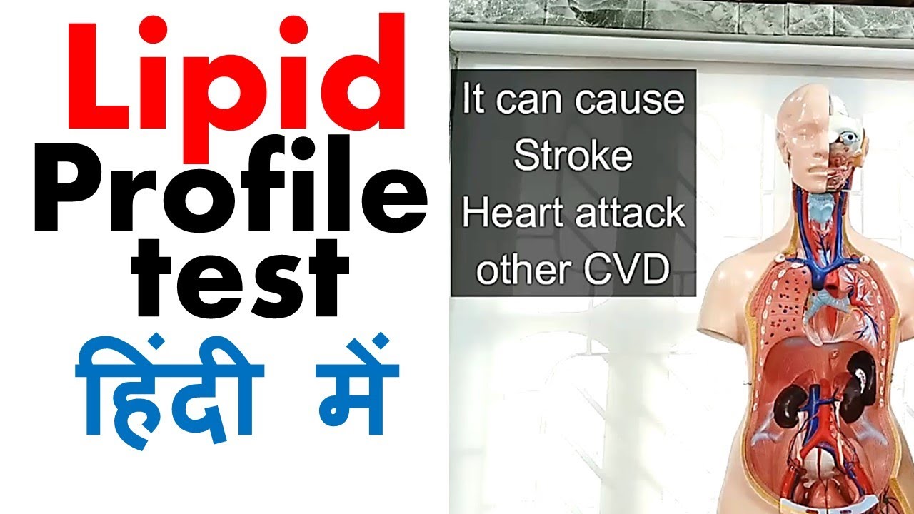 Lipid profile test in Hindi