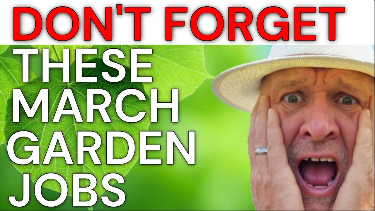 Don't forget these March garden jobs for gardening beginners