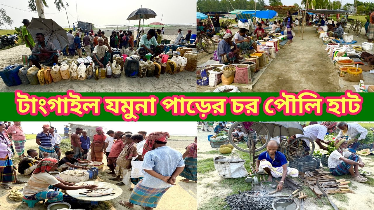 টাঙ্গাইল যমুনা নদীর তীরবর্তী চর পৌলি হাট।@মানিকগঞ্জ প্রতিদিন