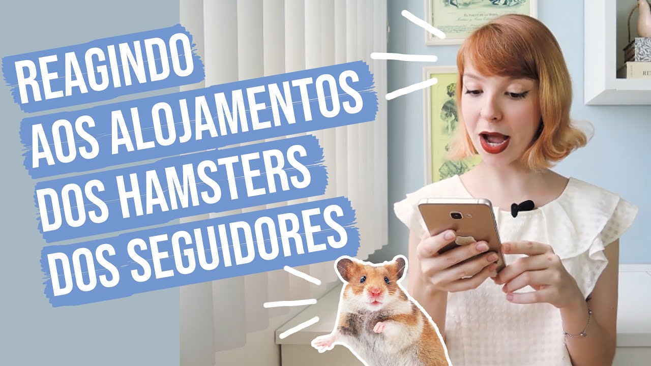 🐹 Reagindo aos alojamentos dos hamsters dos seguidores