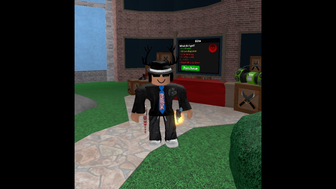 my friend joined me in mm2!!!