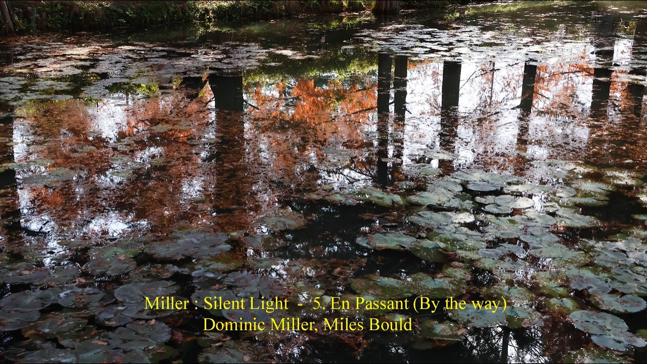 Miller : Silent Light - 5. En Passant (By the way)