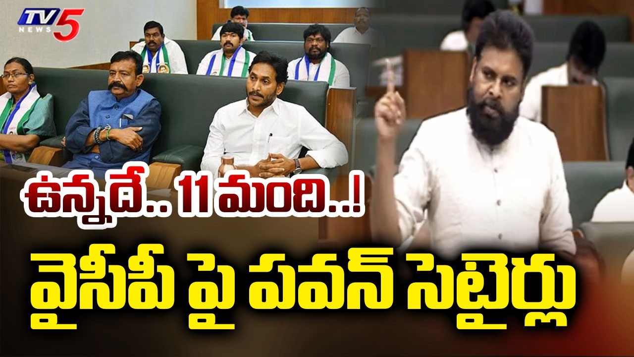 Deputy CM Pawan Kalyan Satirical Comments on YSRCP in AP Assembly | Jagan | TV5 News