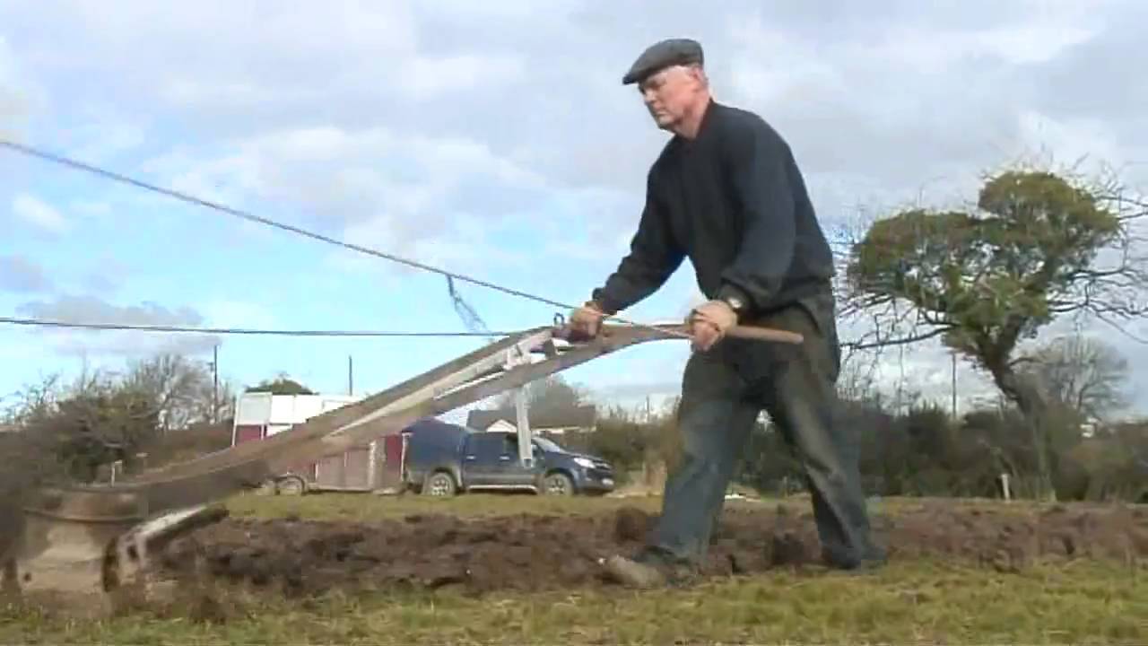 Horses Ploughing