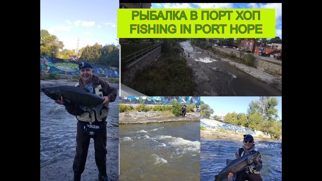 Рыбалка на Лосось в Порт Хоп , Fishing in Port Hope 2021