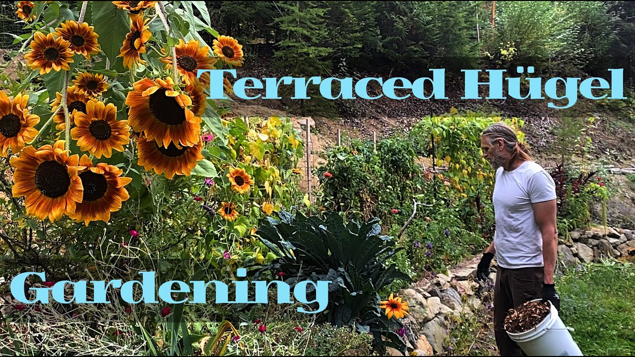 One Year Of Terraced Hügelkultur Gardening