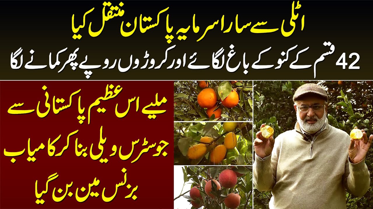 42 Types Ke Oranges Ke Garden,Millions Ka Profit - Citrus Valley Se Businessman Banne Wala Pakistani