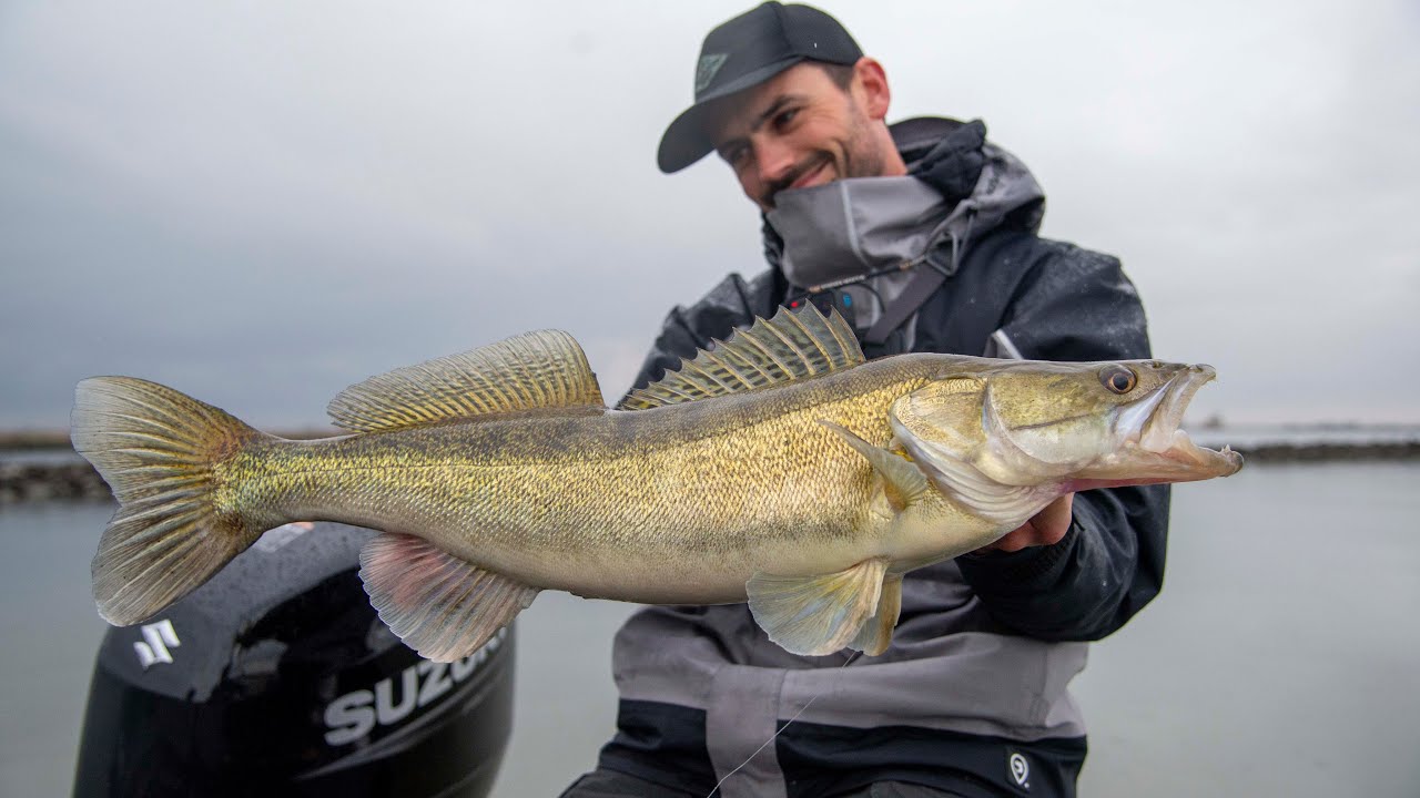 DIKKE Vissen vangen in de NIEUWE Boot!! Snoek, Snoekbaars en Baars