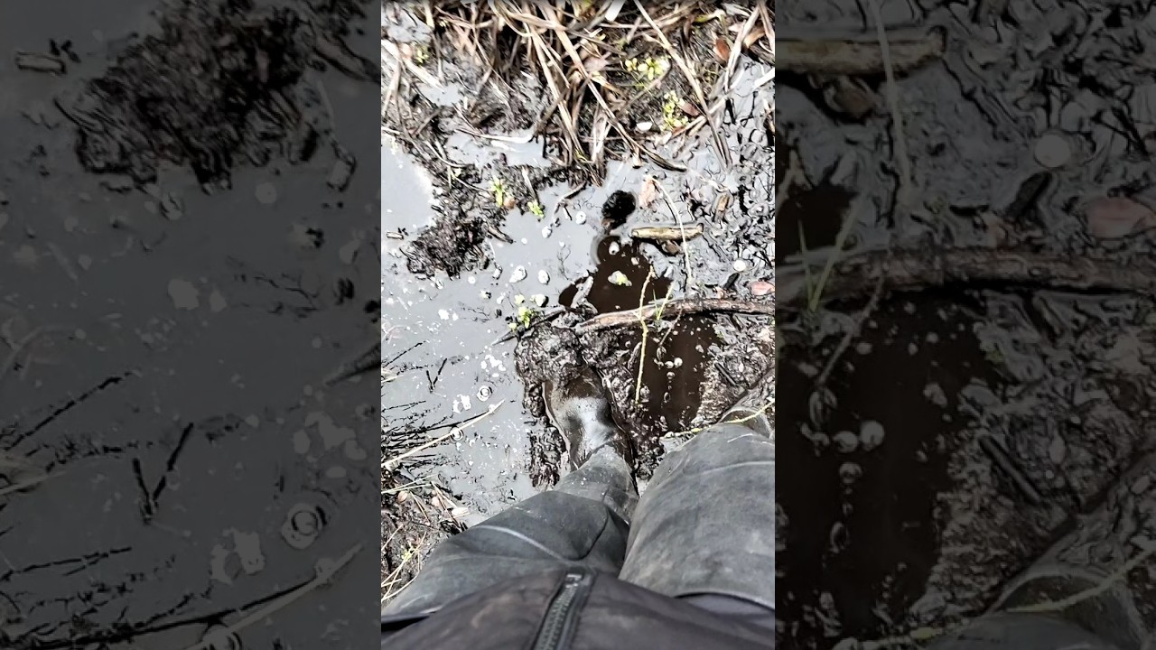 Waders mud 12