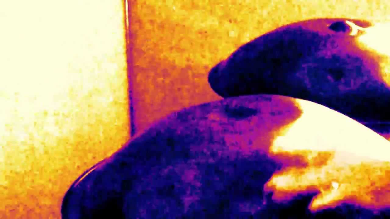 irresponsible & reckless on The Handpan Channel