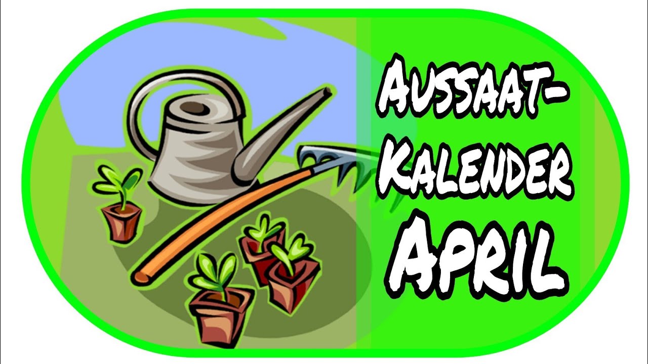 🌻Aussaatkalender April - Vorzucht zu Hause 🌻// Garten // Anzucht //Aussaat // Gew&auml;chshaus