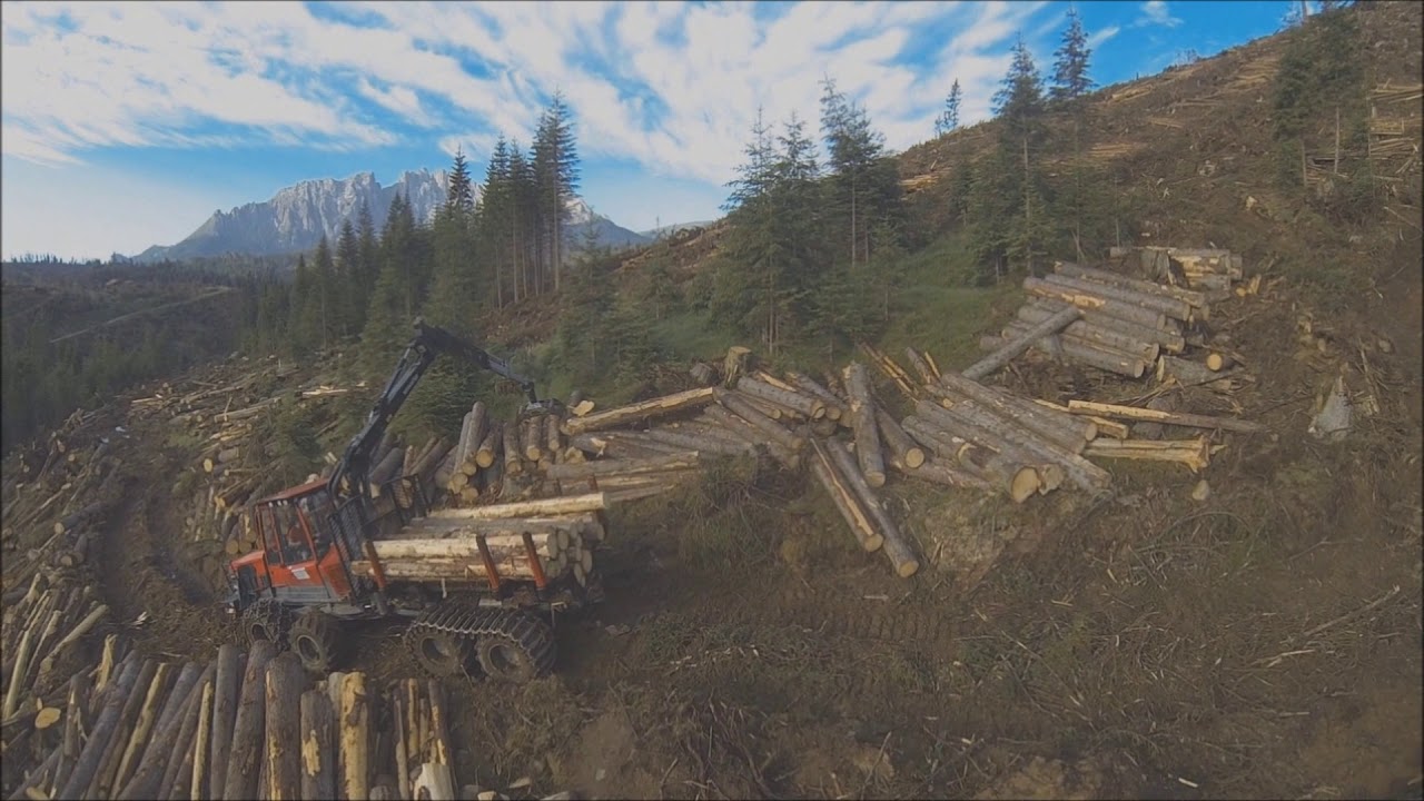 Woodex AG im S&uuml;dtirol