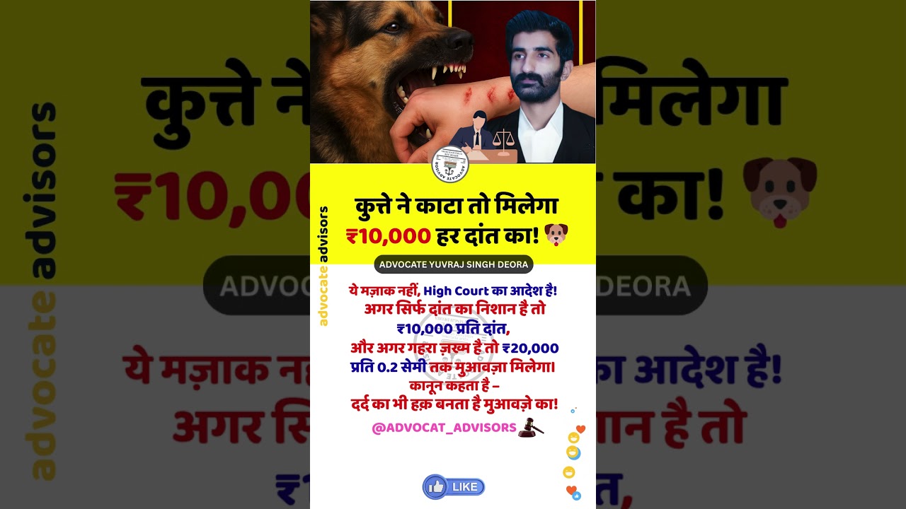 Dog Bite Law in India | ₹10,000 Fine & Legal Action Explained 🐶⚖️ #DogBite #LegalRights #DogBite