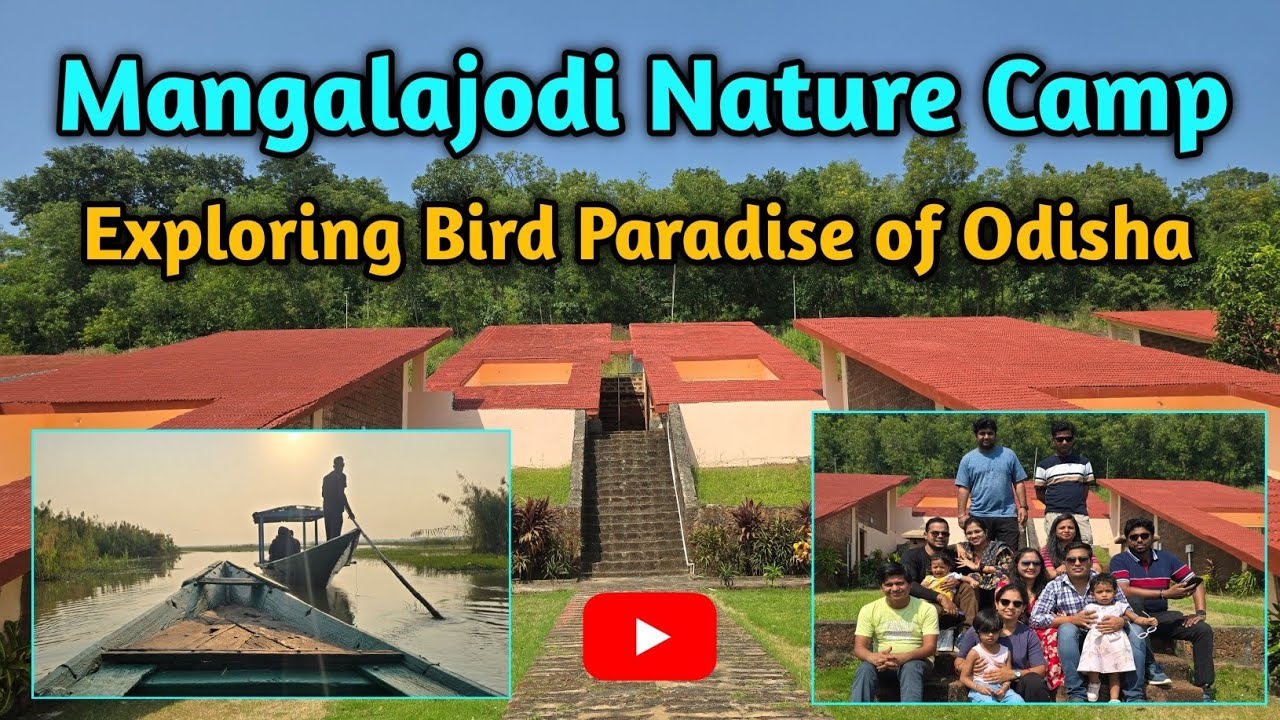Mangalajodi Nature Camp | Eco Tourism Odisha | Mangalajodi Eco Tourism | Mangalajodi Bird Sanctuary