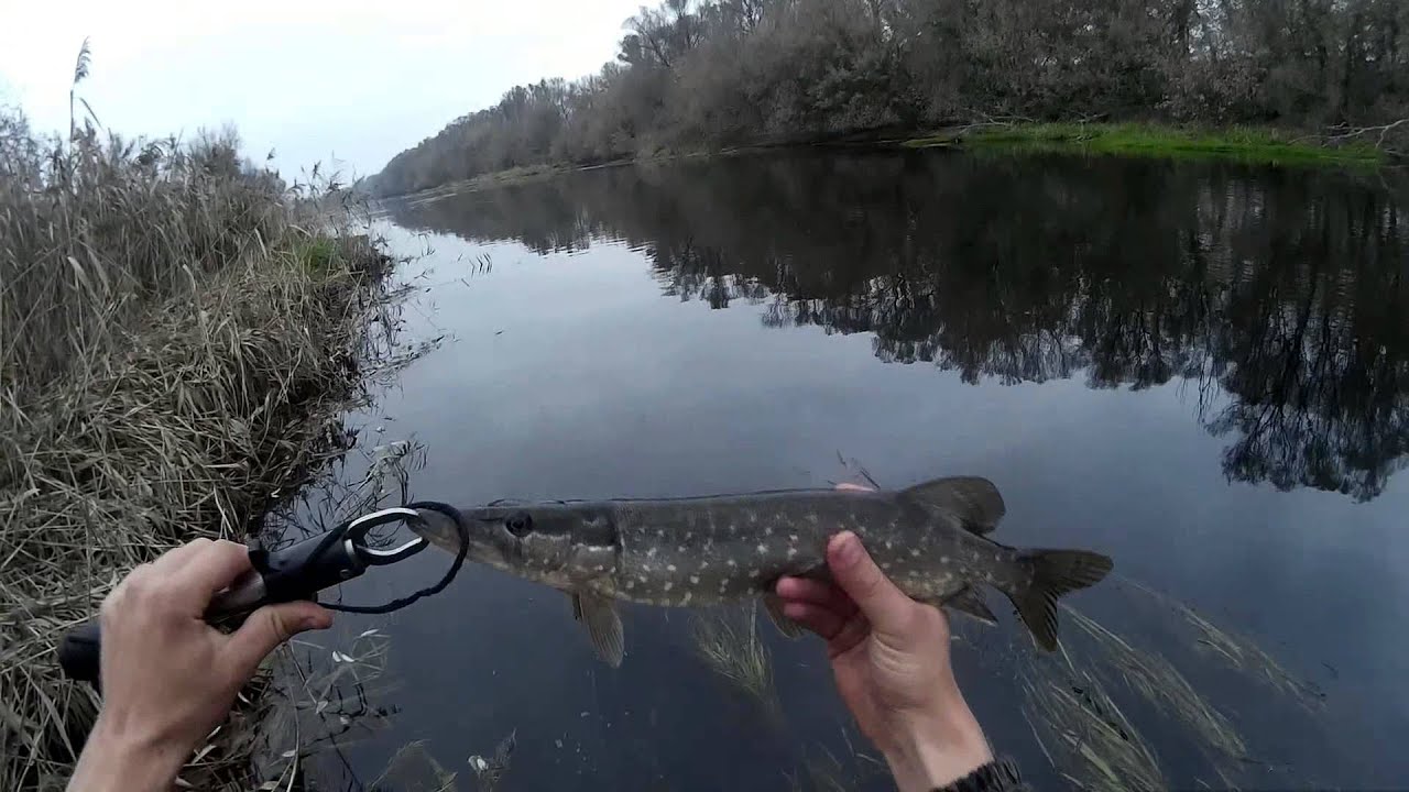 Осенняя ловля щука на Yo-Zuri L-Minnow 66