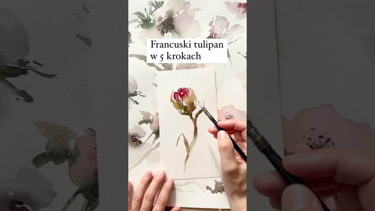 Tulipan francuski akwarelą w 5 krokach🎨 #malowanieakwarelami #ilustracjaakwarelowa #akwarele #art