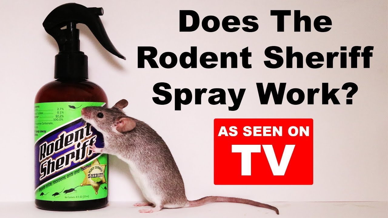 Testing Out The Rodent Sheriff Spray - As Seen On TV - Mousetrap Monday