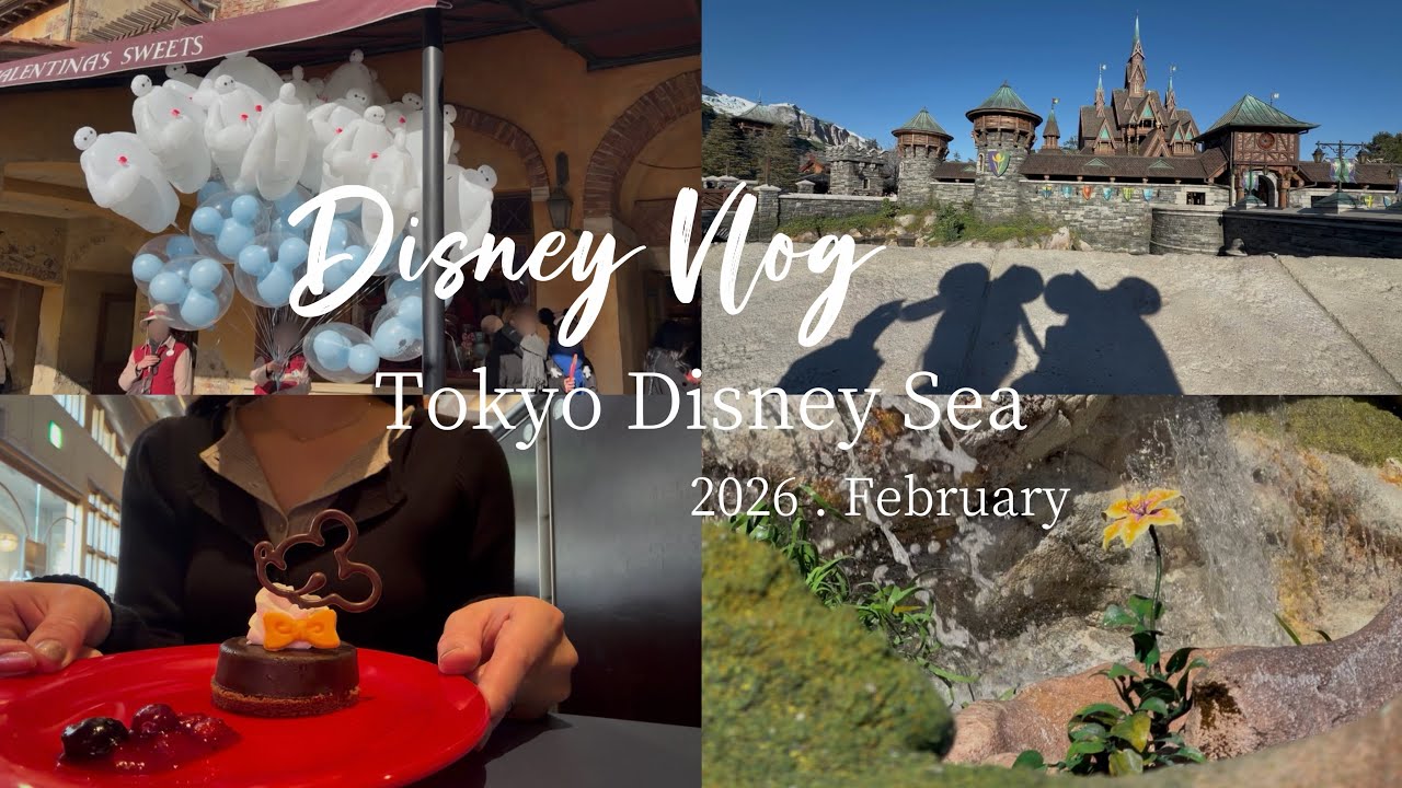 【disney vlog】大人ディズニー⸜❤︎⸝ | 友人とディズニーシーを満喫 ◡̈