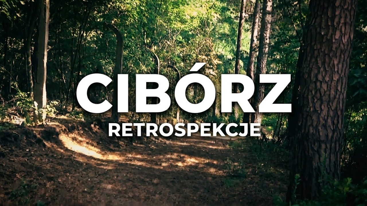 Cib&oacute;rz retrospekcje